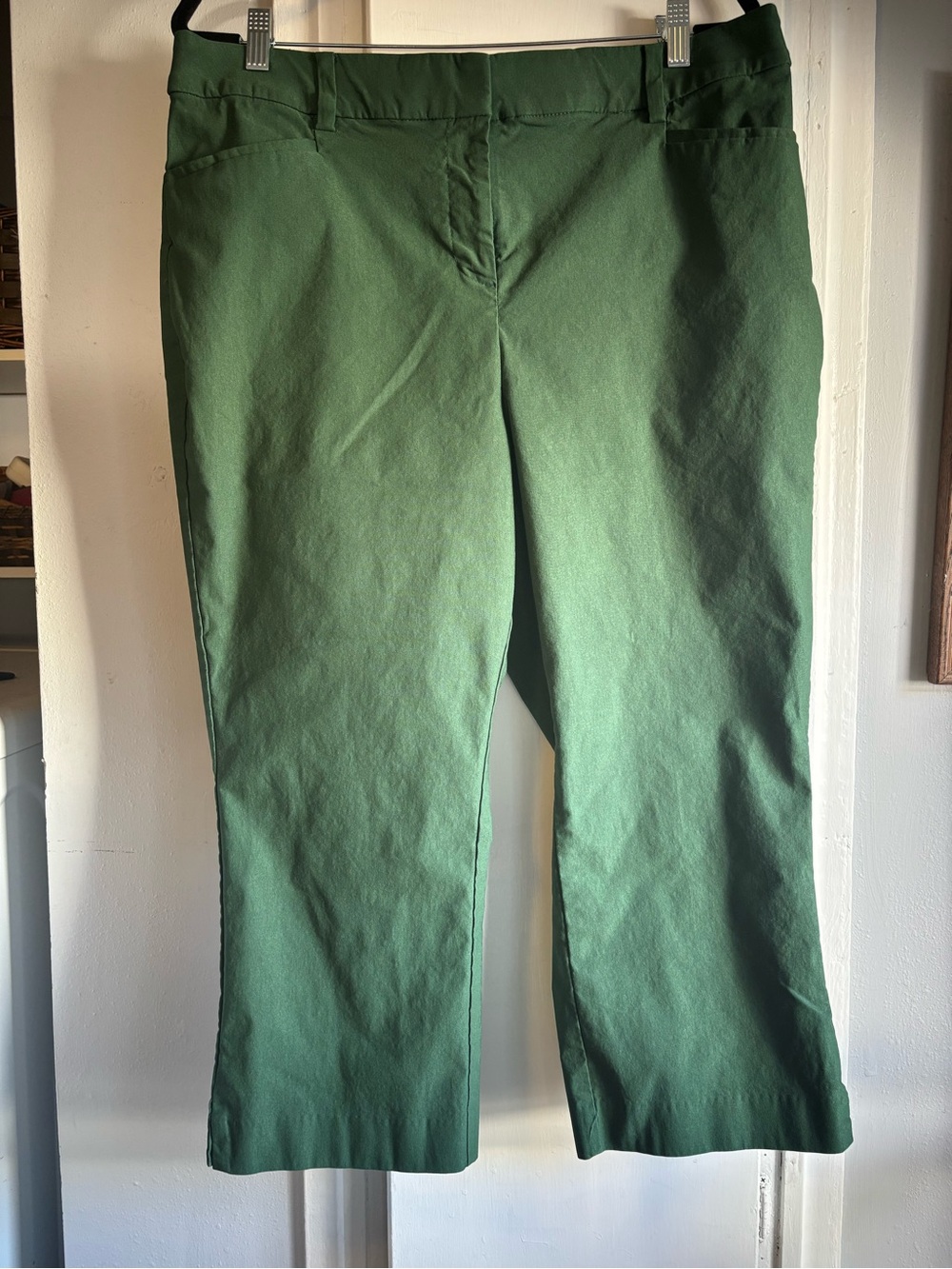 Lane Bryant Forest Green Ankle-Length Straight Jeans